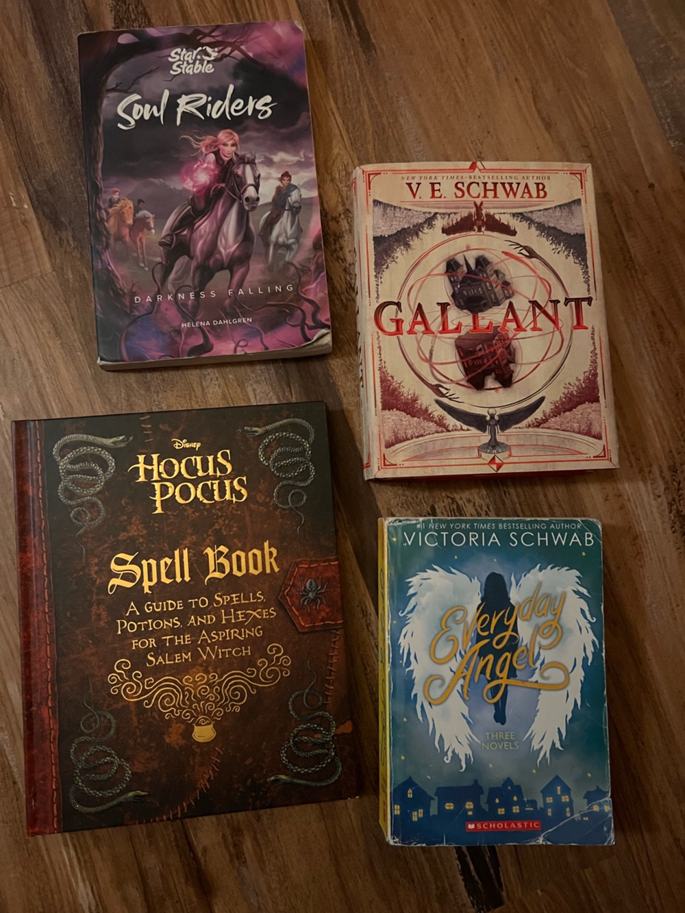 NEW Hocus Pocus Spell Book with bundle of fantasy bestselling books